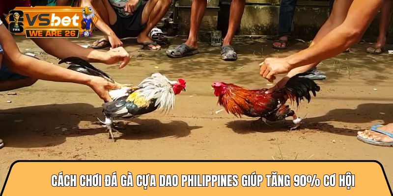 Cách chơi đá gà cựa dao philippines giúp tăng 90% cơ hội 5 Cách chơi đá gà cựa dao philippines